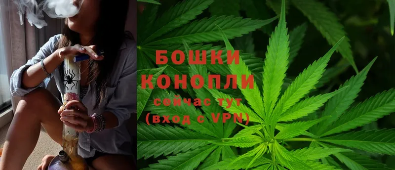 цена наркотик  Нюрба  Бошки Шишки SATIVA & INDICA 